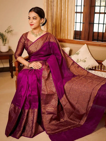 Magenta Pink Banarasi Woven Soft Saree with Antique Zari Border & Pallu
