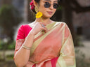 Organza Sarees