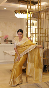 Exclusive Banarasi Glass Tissue Gold Zari Soft Silk Saree | Festive Special