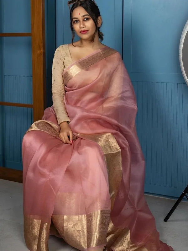Peach Pink Banarasi Woven Skirt Border Soft Organza Saree | From The Weavers Of Banaras