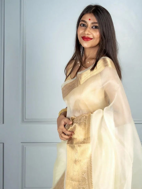 Off-White Banarasi Skirt Border Soft Organza Saree | Organza Saree