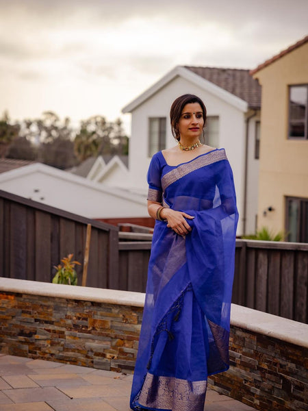 Royal Blue Banarasi Soft Organza Skirt Border Saree | Easy To Drape