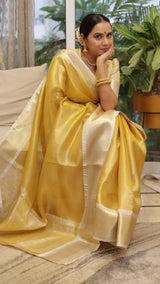 Exclusive Banarasi Glass Tissue Gold Zari Soft Silk Saree | Festive Special