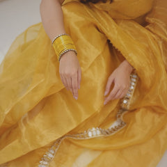 Golden Grace Sunstone Mirror Work Designer Tissue Silk Saree