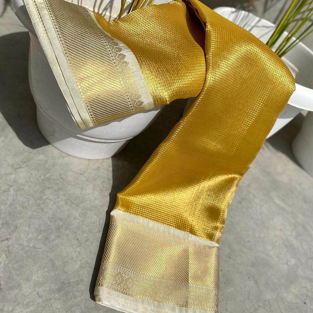 Exclusive Banarasi Glass Tissue Gold Zari Silk Saree with Contrast Border & Pallu