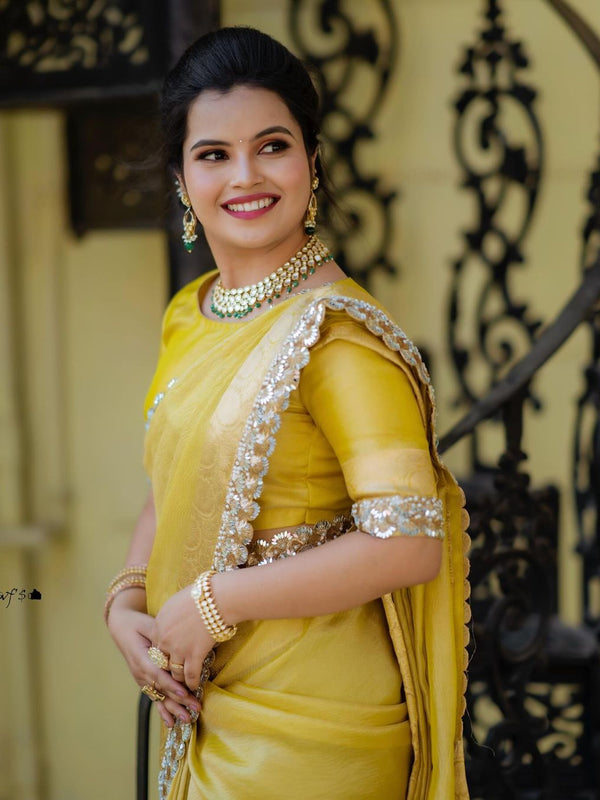 Modern Mirror Work Banarasi Crush Tissue Saree with Handmade Mirror Cutwork Laces