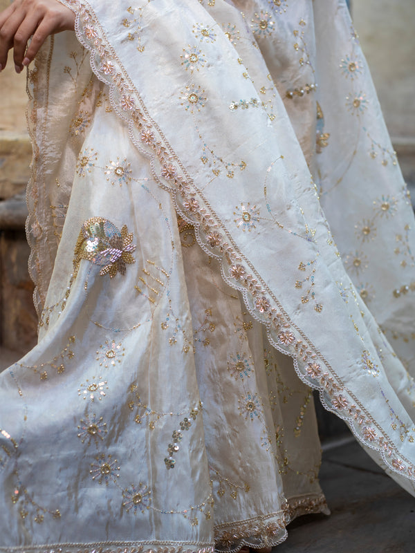 Exquisite Banarasi Kat Dana work designer pure tissue crape silk saree