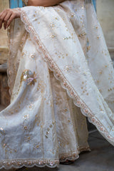 Exquisite Banarasi Katdana work designer pure tissue crape silk saree