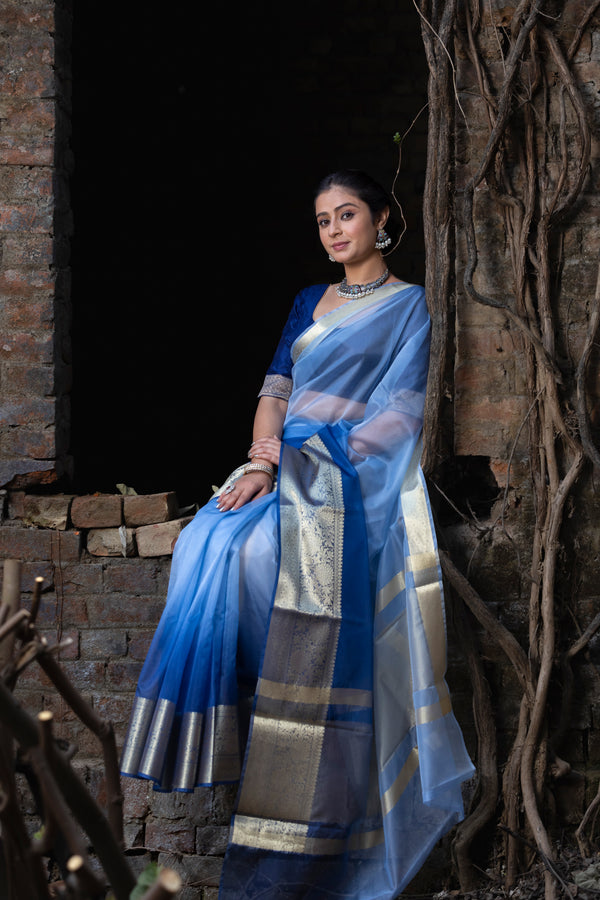 Subtle Blue Banarasi Woven Soft Organza Skirt Border Saree