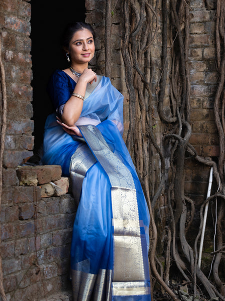 Subtle Blue Banarasi Woven Soft Organza Skirt Border Saree