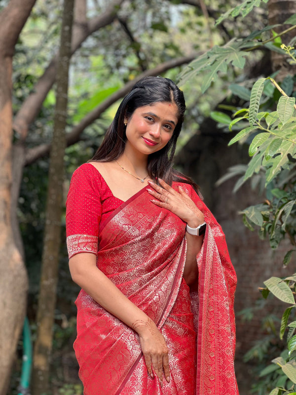 Crimson Red Banarasi Soft Silk Saree with Siroski Stone Work Embroidered Blouse & Saree