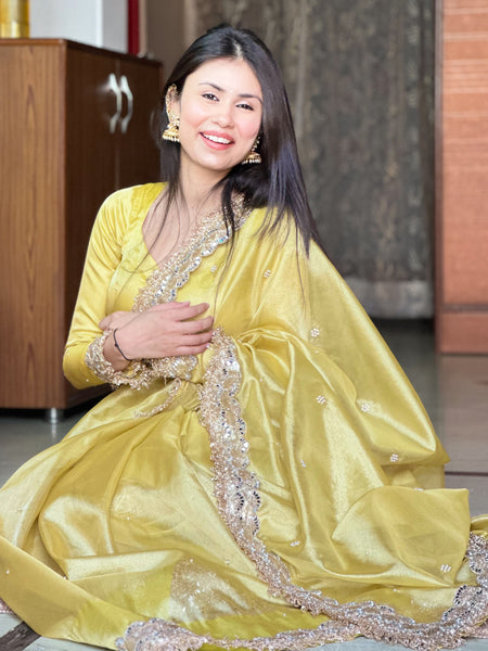 Gul-e-Zar Soft Gold Pearl Motif Handwork Saree with Mirror work Borders