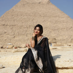 Pearl Black Banarasi Rajkumari Mirror Work Tissue Silk Saree