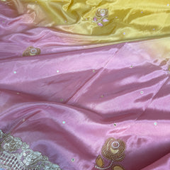 Rose Dawn 2D Dual Shade Handwork Shimmery Tissue Saree