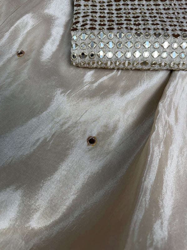 Ivory Abroo Shimmery Tissue Handwork Saree | Mirror Buti