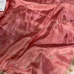 Strawberry Abroo Shimmery Tissue Handwork Saree