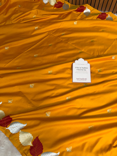 Mustard Gold Patra Leaf Mashru Silk Banarasi Saree