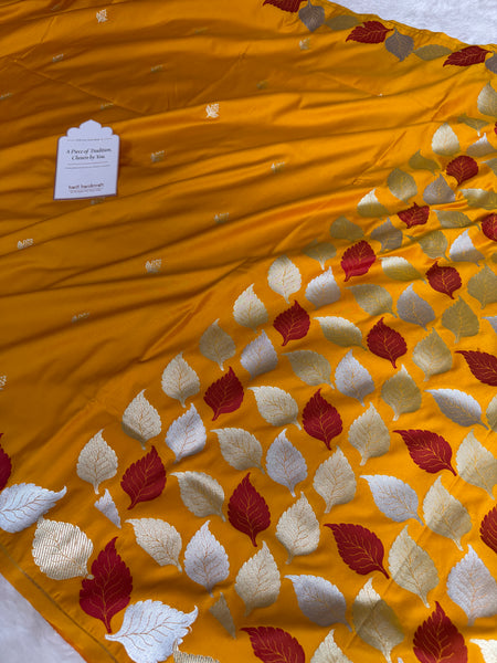 Mustard Gold Patra Leaf Mashru Silk Banarasi Saree