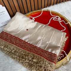 Ivory Royale Ruby Stone Inspired Shimmery Tissue Handwork Saree