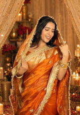 Metallic Orange Pure Tissue Silk Handcrafted Saree