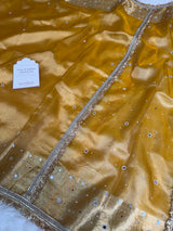 Haldi Gold Aaina Aanchal Mirror Work Tissue Silk Saree