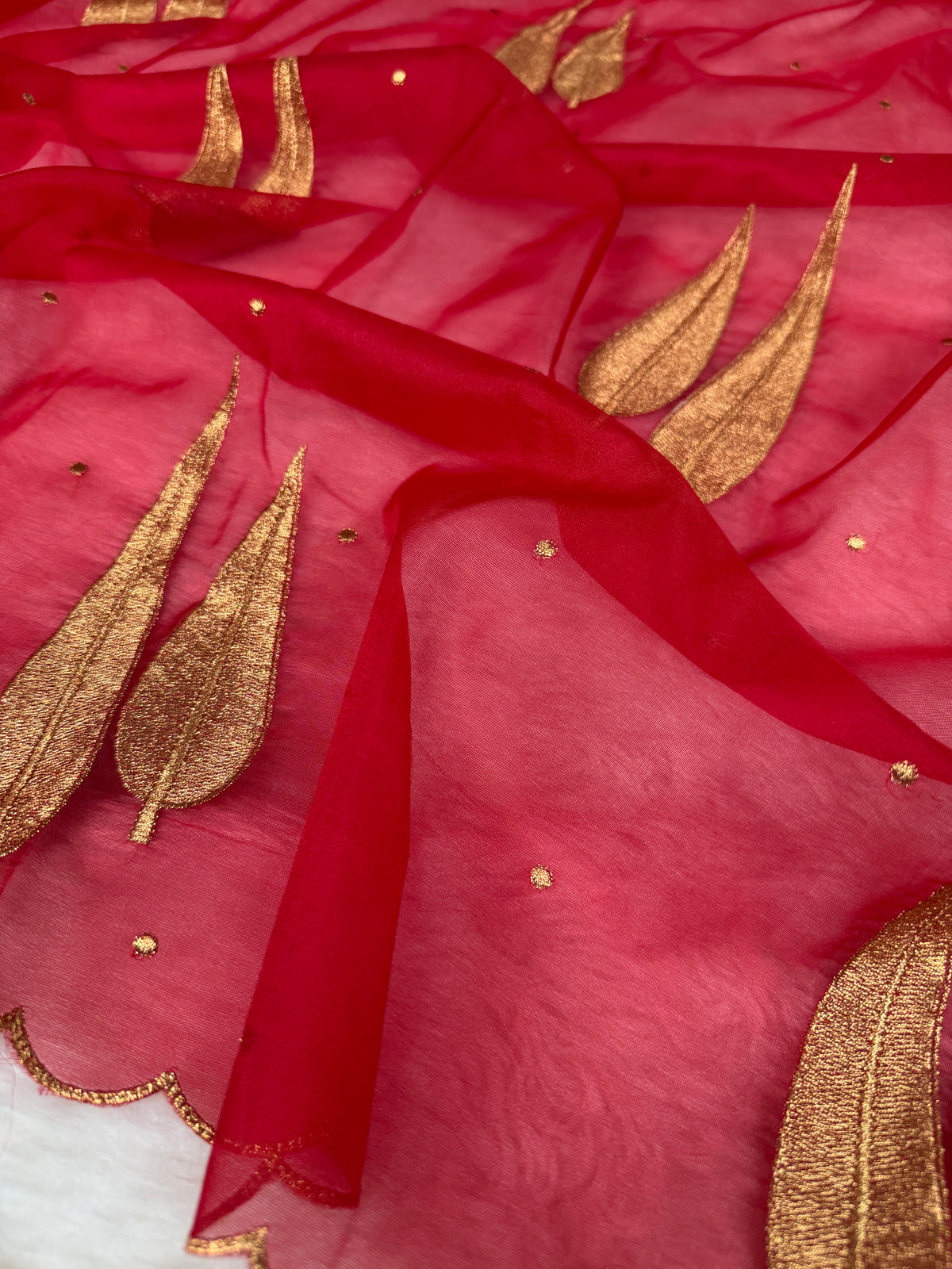 Cherry Red Sunehri Patti Zari Work Saree with Scalloped Border