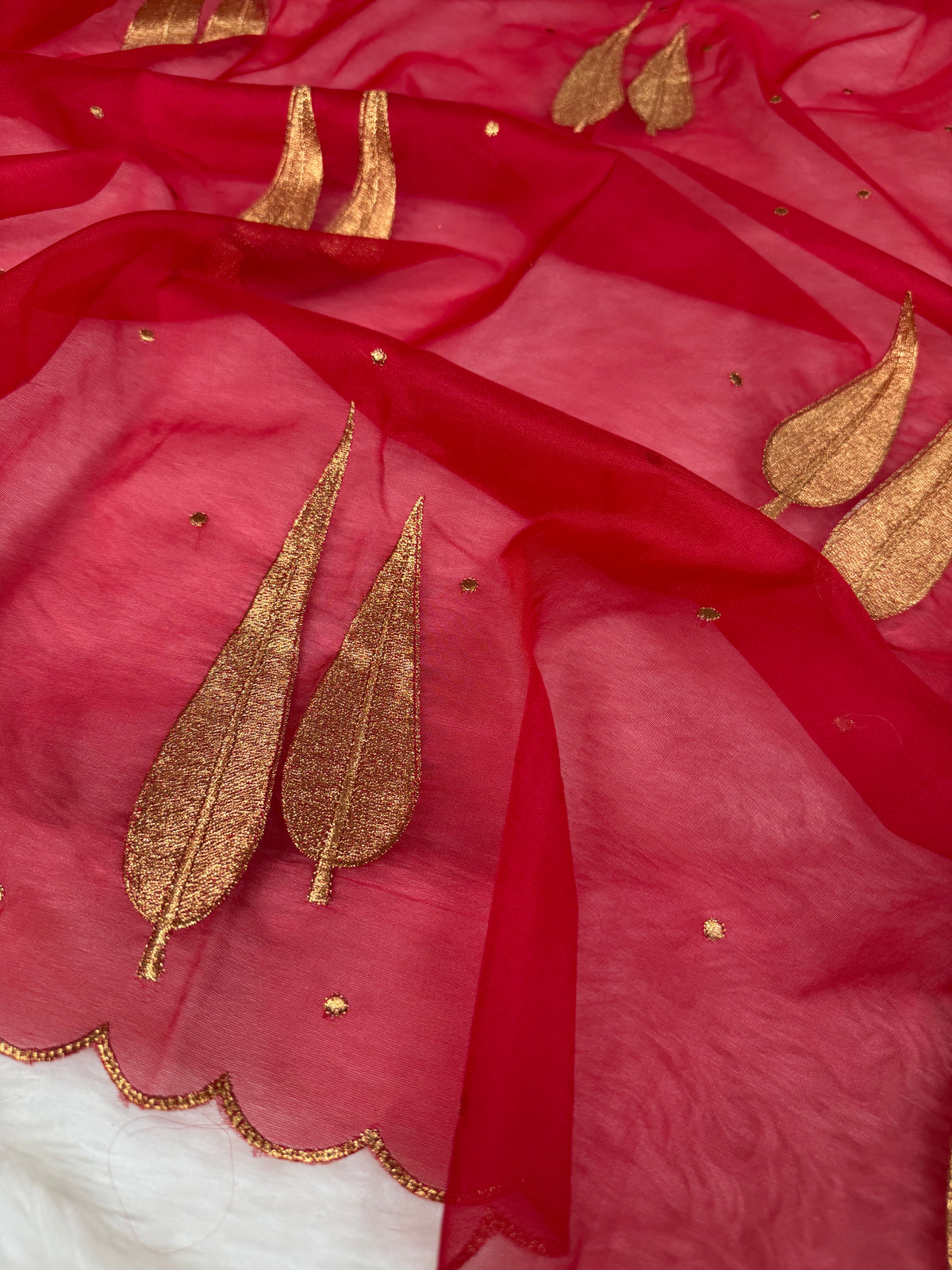 Cherry Red Sunehri Patti Zari Work Saree with Scalloped Border