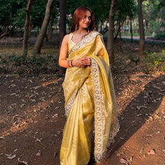 Noor-e-Zar Muted Gold Pearl Motif Handwork Saree with Mirror work Borders
