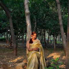 Noor-e-Zar Muted Gold Pearl Motif Handwork Saree with Mirror work Borders