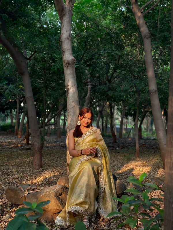 Noor-e-Zar Muted Gold Pearl Motif Handwork Saree with Mirror work Borders