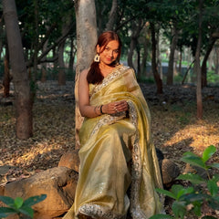 Noor-e-Zar Muted Gold Pearl Motif Handwork Saree with Mirror work Borders