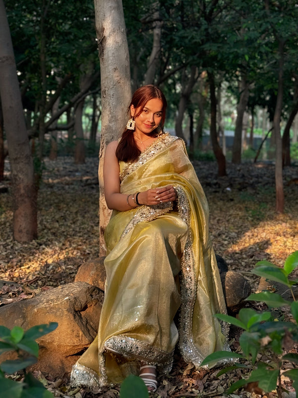 Noor-e-Zar Muted Gold Pearl Motif Handwork Saree with Mirror work Borders
