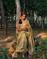 Noor-e-Zar Muted Gold Pearl Motif Handwork Saree with Mirror work Borders