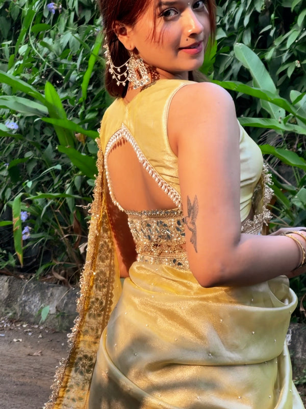 Noor-e-Zar Muted Gold Pearl Motif Handwork Saree with Mirror work Borders