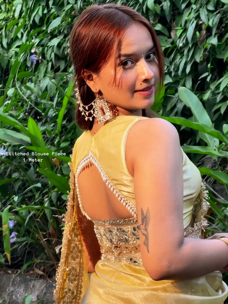 Noor-e-Zar Muted Gold Pearl Motif Handwork Saree with Mirror work Borders