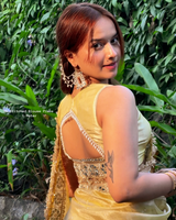 Noor-e-Zar Muted Gold Pearl Motif Handwork Saree with Mirror work Borders