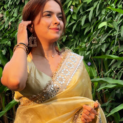 Noor-e-Zar Muted Gold Pearl Motif Handwork Saree with Mirror work Borders