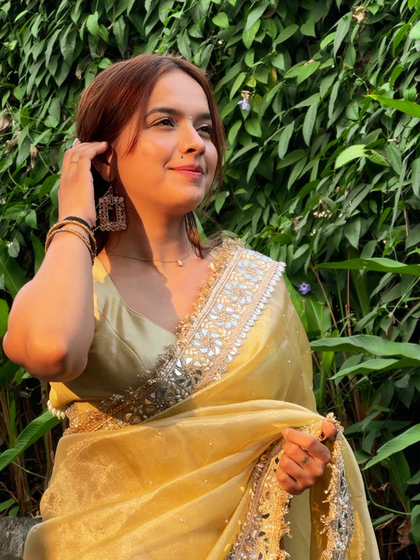 Noor-e-Zar Muted Gold Pearl Motif Handwork Saree with Mirror work Borders