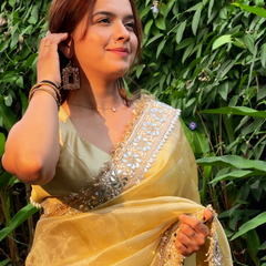 Noor-e-Zar Muted Gold Pearl Motif Handwork Saree with Mirror work Borders