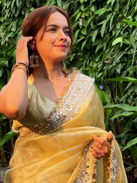 Noor-e-Zar Muted Gold Pearl Motif Handwork Saree with Mirror work Borders