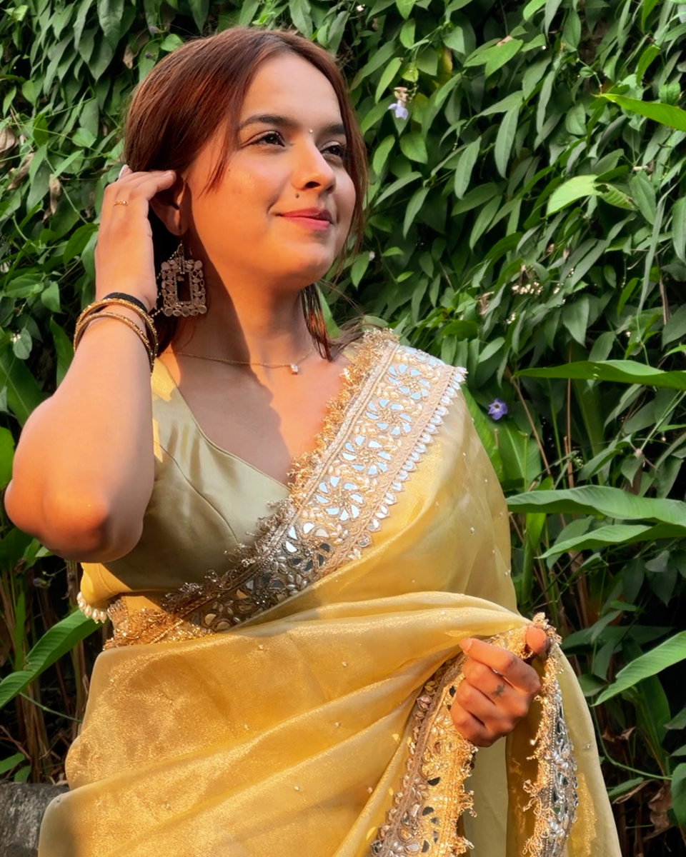 Noor-e-Zar Muted Gold Pearl Motif Handwork Saree with Mirror work Borders