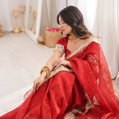 Blood Red Noor-e-Zar Pearl Motif Handwork Saree with Mirror work Borders