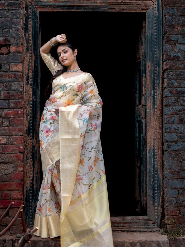 Flourishing Jaal Vibrant Organza Saree with Banarasi Zari Border | Flower Jaal Design