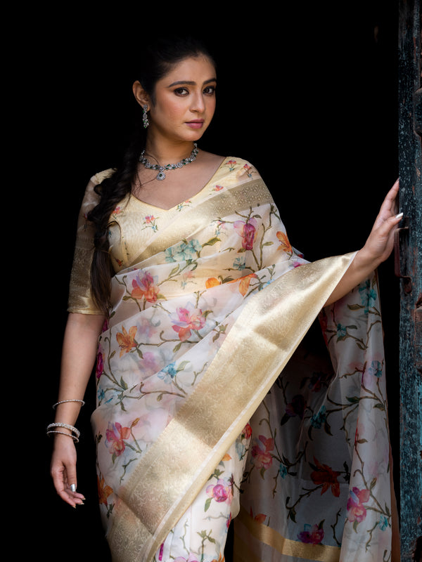 Flourishing Jaal Vibrant Organza Saree with Banarasi Zari Border | Flower Jaal Design