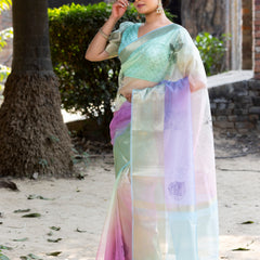 Prismatic Organza Silk Saree with Banarasi Zari Border | New Leaf Pattern