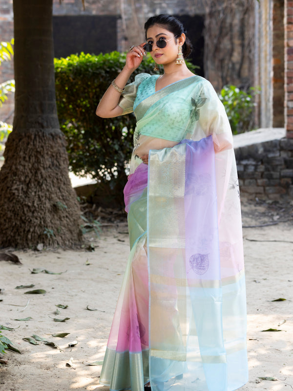 Prismatic Organza Silk Saree with Banarasi Zari Border | New Leaf Pattern