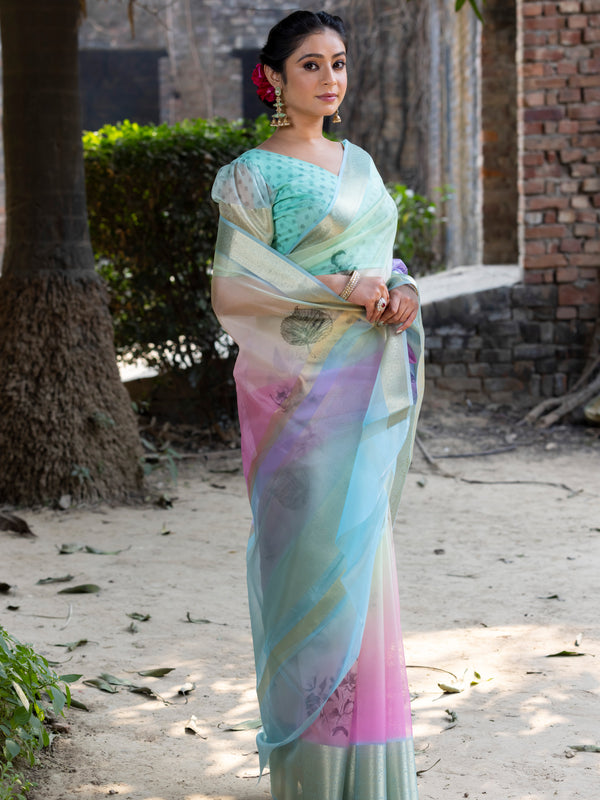 Prismatic Organza Silk Saree with Banarasi Zari Border | New Leaf Pattern