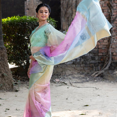 Prismatic Organza Silk Saree with Banarasi Zari Border | New Leaf Pattern