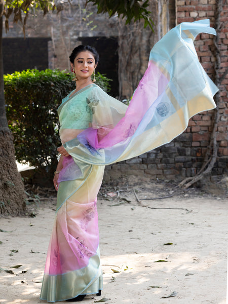 Prismatic Organza Silk Saree with Banarasi Zari Border | New Leaf Pattern