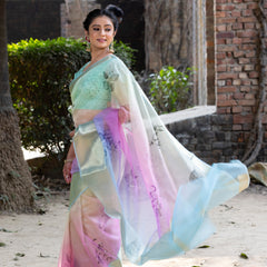 Prismatic Organza Silk Saree with Banarasi Zari Border | New Leaf Pattern